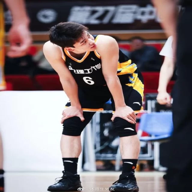 篮球季后赛走势解析：第97组数据深度观察